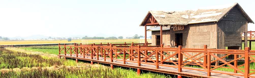 稻田艺术联系我们