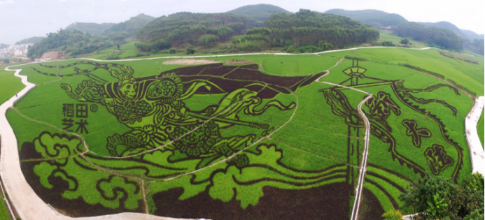 谁和你在稻香中深情凝望