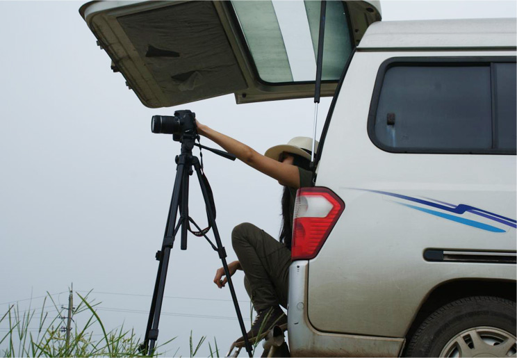 《奔月》：风中的情怀